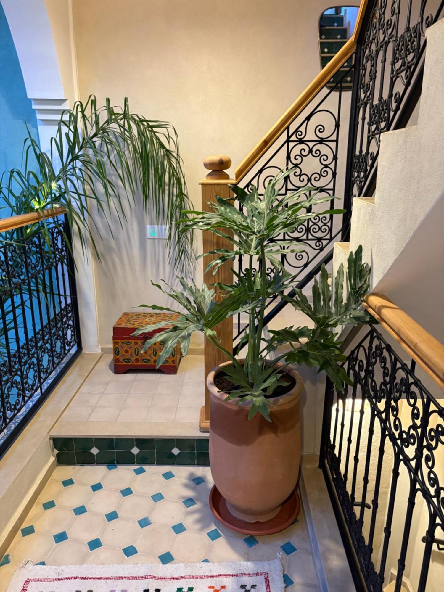 Riad212 Private Medina Fast Wi-Fi Plunge Pool Marrakesz Zewnętrze zdjęcie